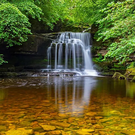 Bearskin Feriehus Leyburn