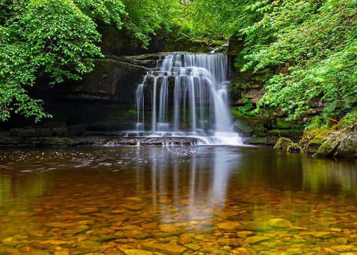 Bearskin Holiday home Leyburn